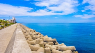 Thumbnail of post image 034