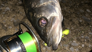 Thumbnail of post image 042