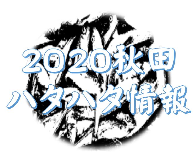 2020 ハタハタ 秋田 釣り 情報 接岸情報