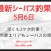 最新シーバス釣果速報5月6日分記事のサムネイル