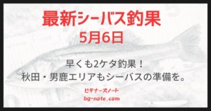 最新シーバス釣果速報5月6日分記事のサムネイル