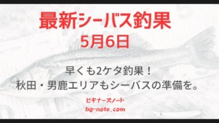 最新シーバス釣果速報5月6日分記事のサムネイル