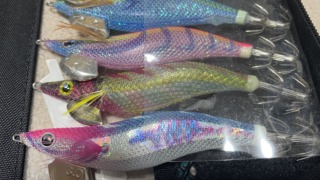 エギ 下地テープ 選び方 エギング イカ アオリイカ 釣り 海釣り 秋田 初心者