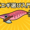 初心者なら迷わずコレ！釣れるエギの選び方とおすすめカラーを紹介