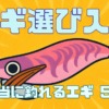【2025年保存版】初心者におすすめ！本当に釣れるエギ5選｜買い溜め必須の厳選モデル
