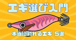エギ選び入門、本当に釣れるエギ5選を説明した記事のサムネイル