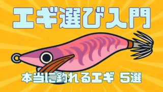 エギ選び入門、本当に釣れるエギ5選を説明した記事のサムネイル