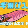 エギ選び入門、本当に釣れるエギ5選を説明した記事のサムネイル