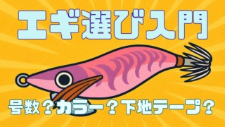 エギ選び入門 号数、カラー、下地テープの説明をした記事のサムネイル