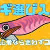 初心者なら迷わずコレ！釣れるエギの選び方とおすすめカラーを紹介