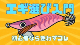 エギ選び入門、初心者はとりあえずコレシリーズ記事のサムネイル