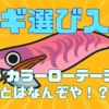 【エギ選び入門】釣れる人がエギを“色違い”で揃える超合理的な理由