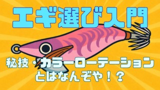 エギ選び入門、カラーローテーションの説明をした記事のサムネイル