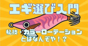 エギ選び入門、カラーローテーションの説明をした記事のサムネイル