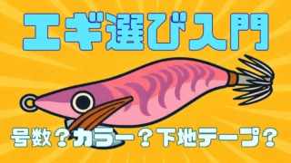 エギ選び入門 号数、カラー、下地テープの説明をした記事のサムネイル