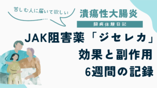 JAK阻害薬「ジセレカ(フィルゴチニブ)」の効果と副作用、6週間の体験談をまとめた記事のアイキャッチ