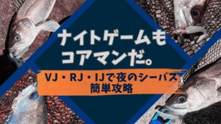 VJ、RJ、IJでナイトシーバス簡単攻略、おすすめのウエイトやカラーを解説。ナイトゲームもコアマンだ。