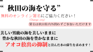 Thumbnail of new posts 116