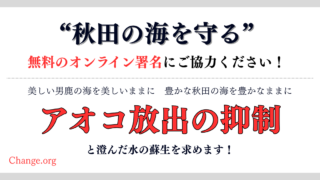 秋田の海を守る活動、船越水道へのアオコ流出の抑制を求める署名運動へのリンク記事サムネ