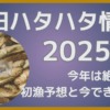 秋田ハタハタ情報2025.11.23更新 今年は絶望的?初漁予想と今できる準備