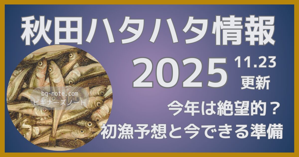 秋田ハタハタ情報2025.11.23更新 今年は絶望的？初漁予想と今できる準備