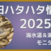 秋田ハタハタ釣り情報2025年 11月28日更新 海水温&海流推移モニタリング 接岸予想