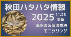秋田ハタハタ釣り情報2025年 11月28日更新 海水温＆海流推移モニタリング 接岸予想