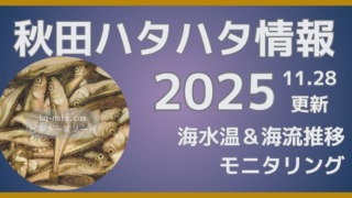 秋田ハタハタ釣り情報2025年 11月28日更新 海水温＆海流推移モニタリング 接岸予想