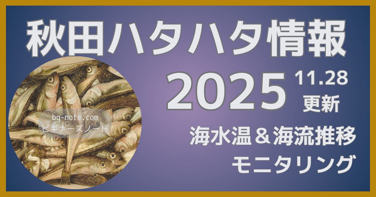 秋田ハタハタ釣り情報2025年 11月28日更新 海水温&海流推移モニタリング 接岸予想