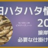 2025年12月 秋田ハタハタ釣り接岸予測と揃えておきたい仕掛けまとめ！