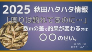 2025年秋田季節ハタハタ釣り情報「周りは釣れてるのに…」数mの差で釣果が変わるのは○○のせい。ビギナーズノートbg-note.com