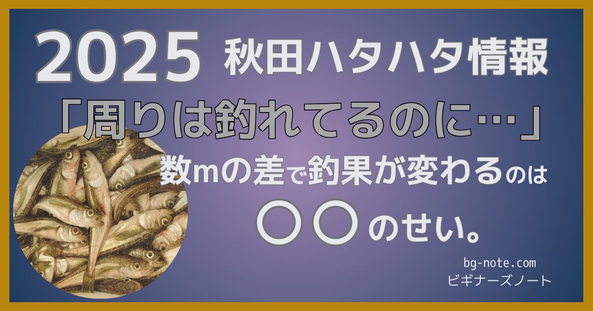 2025年秋田季節ハタハタ釣り情報「周りは釣れてるのに…」数mの差で釣果が変わるのは○○のせい。ビギナーズノートbg-note.com