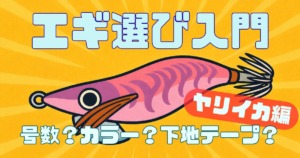 ヤリイカエギングのエギの選び方完全版記事のサムネイル