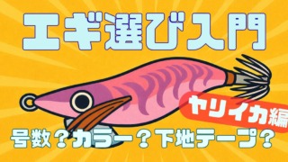 ヤリイカエギングのエギの選び方完全版記事のサムネイル