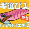 【初心者向け】ヤリイカエギングで"最初の1杯"を釣る!実績重視のおすす