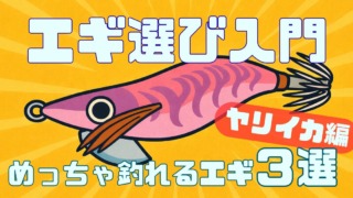 ヤリイカエギングのエギの選び方入門釣れるエギ３選の記事サムネイル