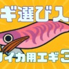 ヤリイカエギングのエギの選び方入門釣れるエギ３選の記事サムネイル