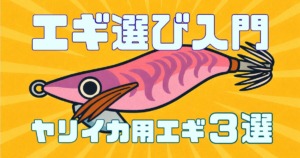 ヤリイカエギングのエギの選び方入門釣れるエギ３選の記事サムネイル