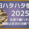 秋田ハタハタ情報2025 12月8日更新 北浦で雌ハタハタ1匹 隣県では苦渋の決断“禁漁”へ