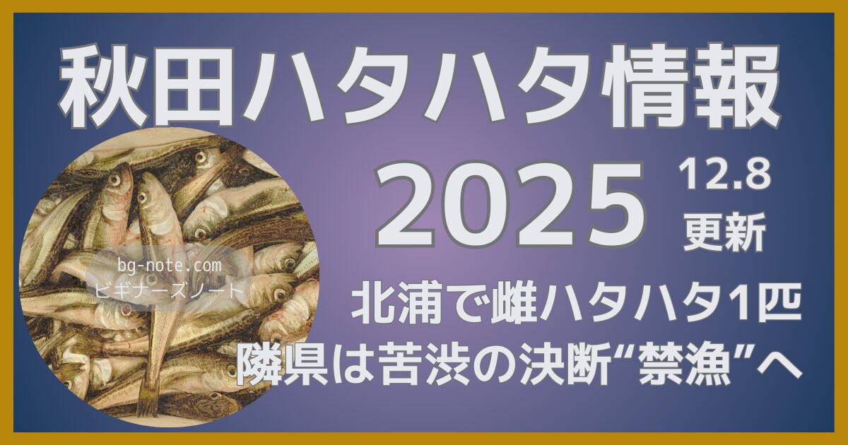 秋田ハタハタ情報2025 12月8日更新 北浦で雌ハタハタ1匹 隣県では苦渋の決断“禁漁”へ