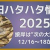 秋田ハタハタ情報2025、12月12日更新。接岸は次の大潮周りが最有力!