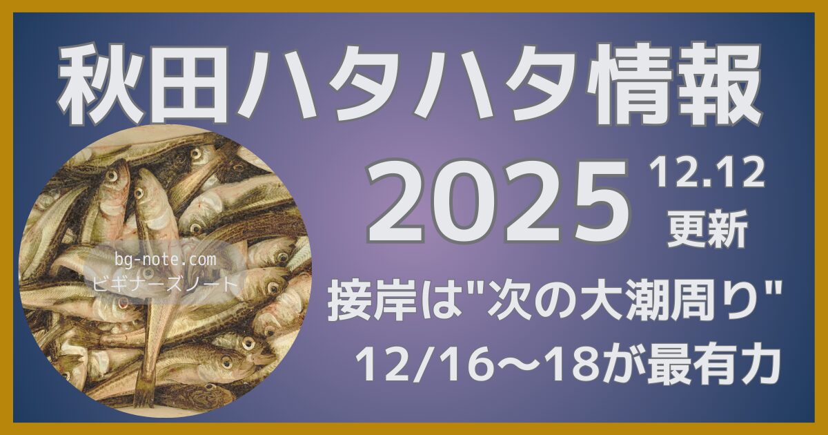 【2025秋田ハタハタ】12.12更新｜接岸は"次の大潮周り"が最有力！地元民の接岸予想。