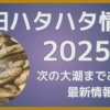 秋田ハタハタ情報2025
