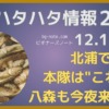2025年秋田ハタハタ情報 12月18日更新、北浦で初漁、本隊はこれから！