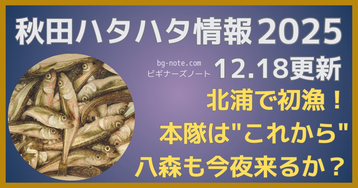 【2025秋田ハタハタ】12.18更新｜北浦で初漁、本隊はこれから！八森・岩館も今夜来るか？