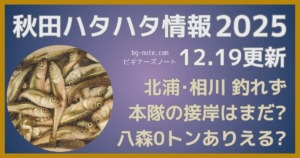 秋田ハタハタ情報2025年12月19日更新、北浦、相川は釣れず、本隊の接岸はまだ？八森0トンはありえる？の記事のサムネイル