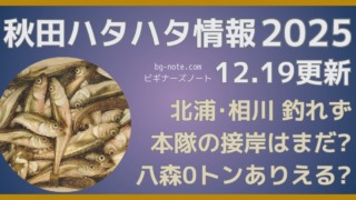秋田ハタハタ情報2025年12月19日更新、北浦、相川は釣れず、本隊の接岸はまだ？八森0トンはありえる？の記事のサムネイル
