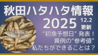 秋田ハタハタ情報2025 12月2日更新 “初漁予想日”発表！異例の“参考値”で私たちができることは？ビギナーズノートbg-note.com