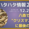 2025年秋田季節ハタハタ情報 12月23日更新記事のサムネイル