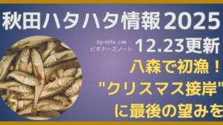 2025年秋田季節ハタハタ情報 12月23日更新記事のサムネイル